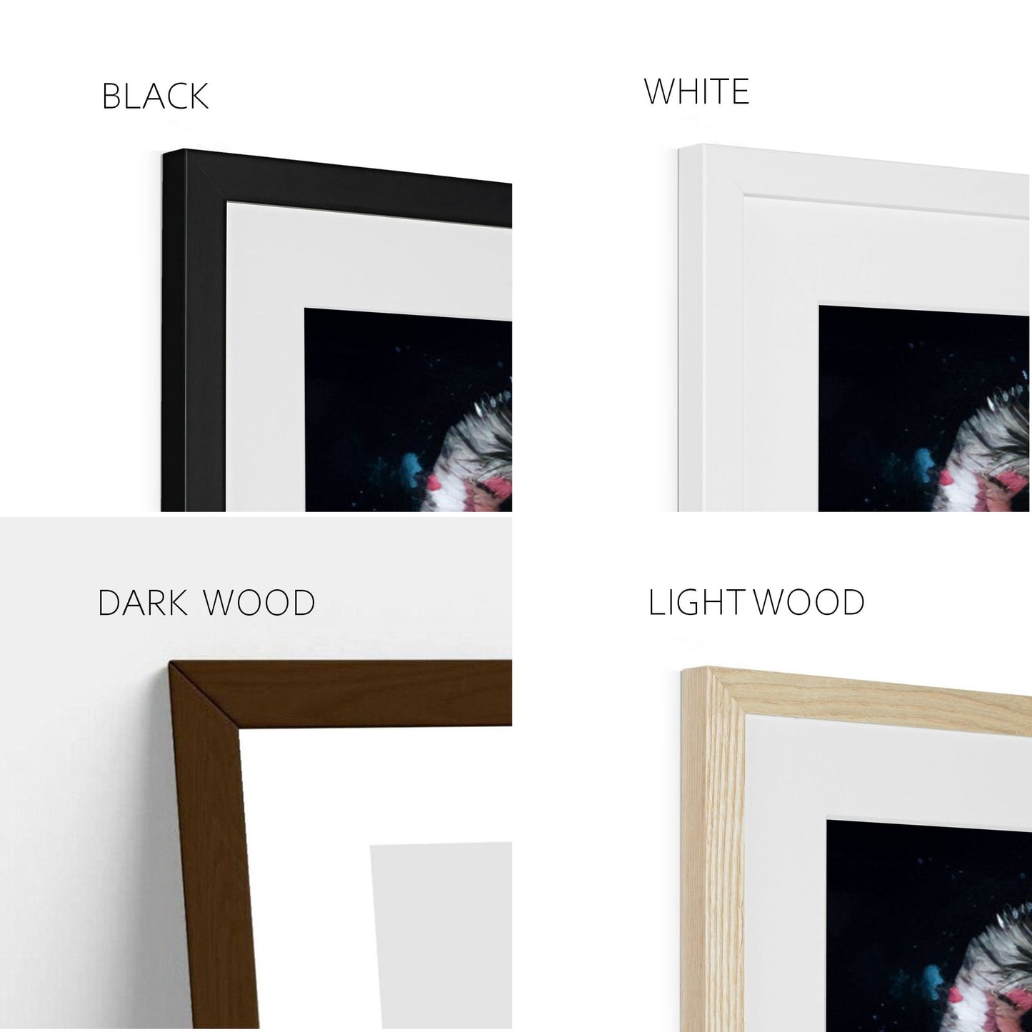Framed Print - Your Photo Portrait